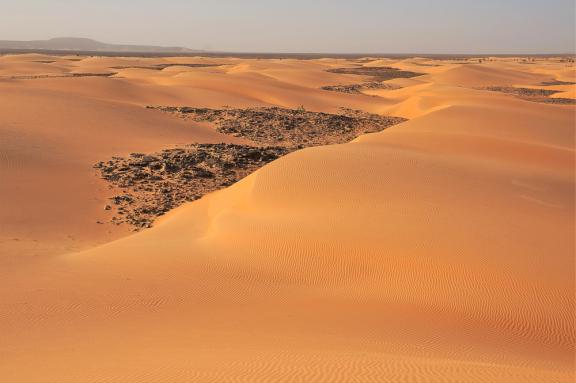 Trekking sur des dunes en Mauritanie