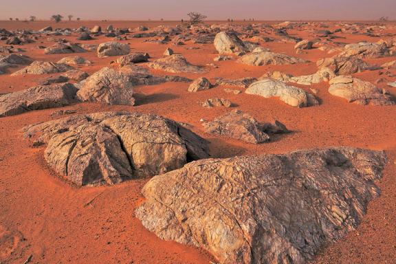 Trek sur des formations rocheuses sous sable dans l'Adrar