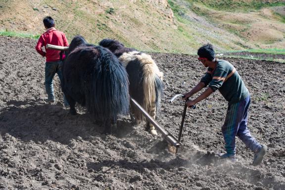 La vallée du Spiti en Inde