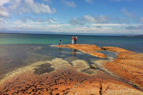 Trekking sur la côte tasmanienne du côté de Bicheno