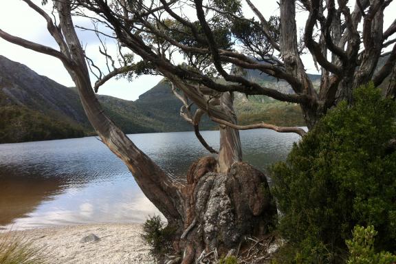 Voyage vers un lac dans les montagnes de Cradle Mountain