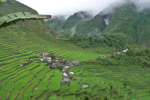 Trek vers les rizières en terrasses de Batad dans les montagnes de la Cordillera