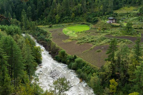 Trek dans la région de Paro pendant le trek du Jhomolari au Bhoutan