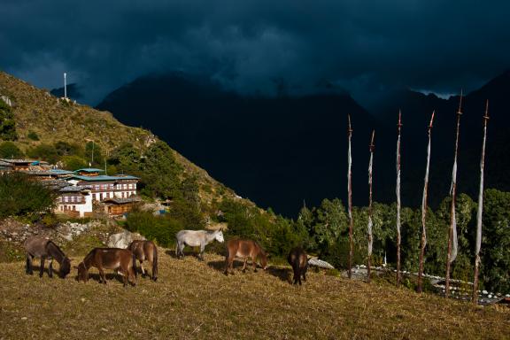 Village de Laya à 3800 m pendant le Snowman trek au Bhoutan