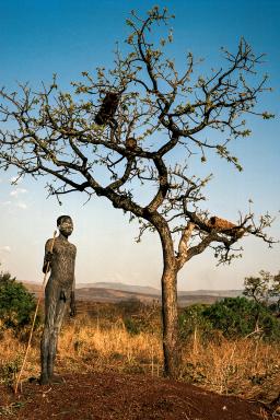 Trekking vers l'arbre aux ruches  dans la savanes éthiopienne