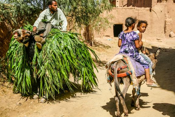 Voyage et rencontre de villageois à dos d'âne à Zagora