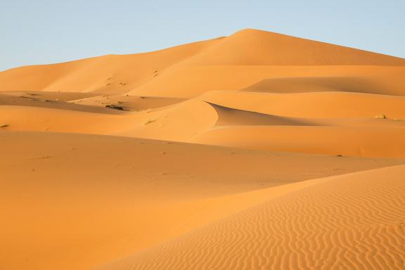 Trek sur des dunes ocres au Maroc
