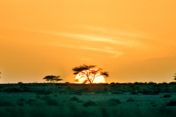 Randonnée au coucher de soleil dans l'erg chegaga