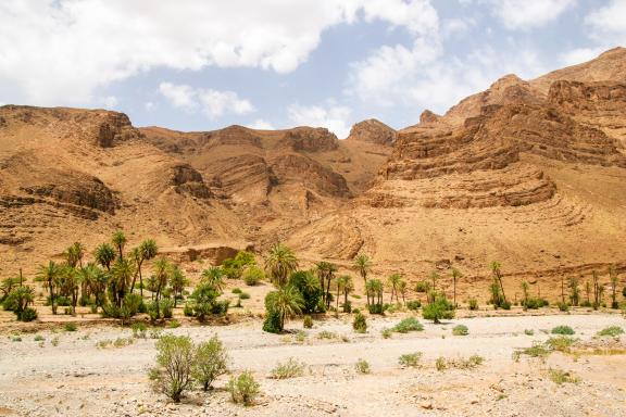 Trek autour d'un massif dunaire dans le Sahara