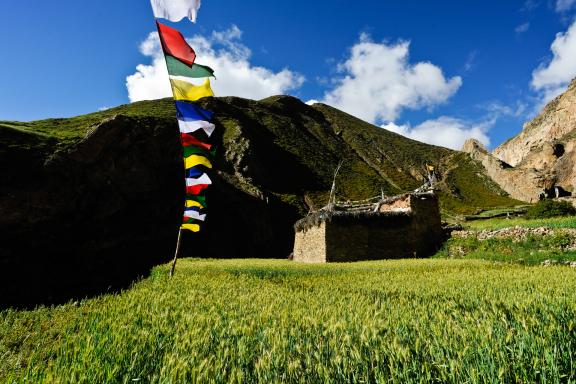 Village de Cha au haut Dolpo au Népal
