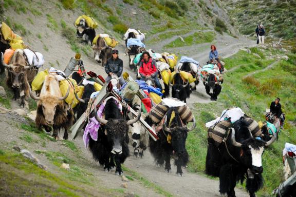 Village de Tokyu dans la vallée de la Tarap au Dolpo au Népal