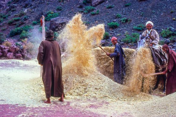 Voyage et rencontre avec des Berbères dans la vallée de l'Ouzighimt