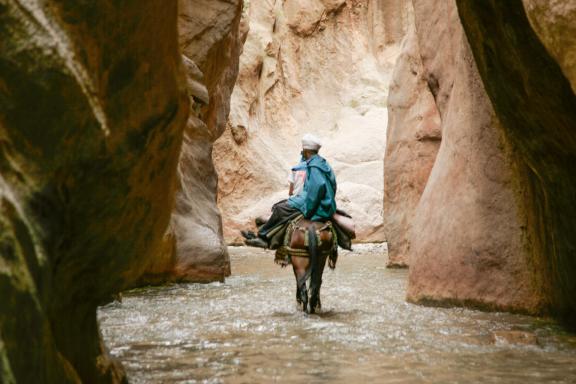 Randonnée avec un Berbère sur une mule dans une rivière de la vallée des roses