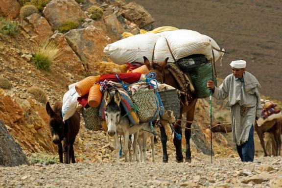 Randonnée avec le chargement de la transhumance au Maroc