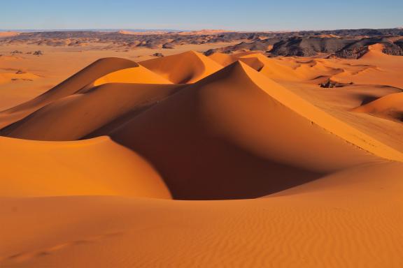 Trek dans un cordon de dunes ocres en Algérie