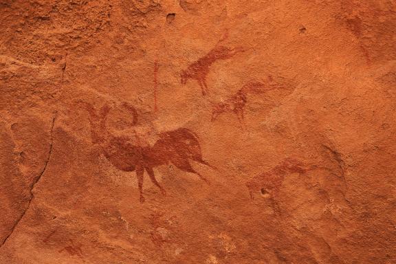 Découverte d'une peinture rupestre d'un bouc attaqué par des chien