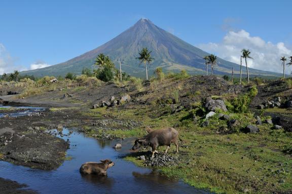 Trekking vers le volcan Mayon dans la région de Legazpi