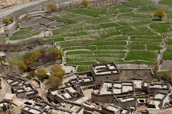 Village de Dhi au Mustang au Népal