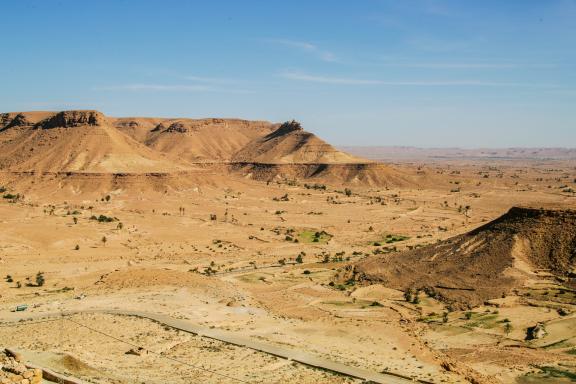 Trek sur un plateau du désert avec palmiers en Tunisie