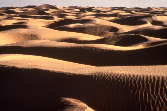Trek sur une étendue de dunes dans le grand erg oriental