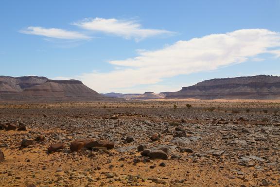 Trek sur un plateau minéral de l'Adrar