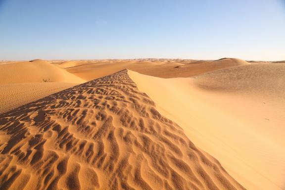 Voyage et paysage dunaire de la vallée blanche