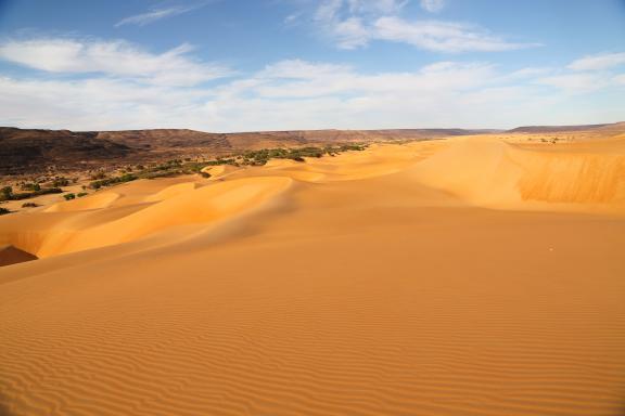 Trekking sur des dunes et végétation du plateau de Zarga
