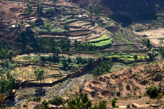 Traversée des paysages du Tigray