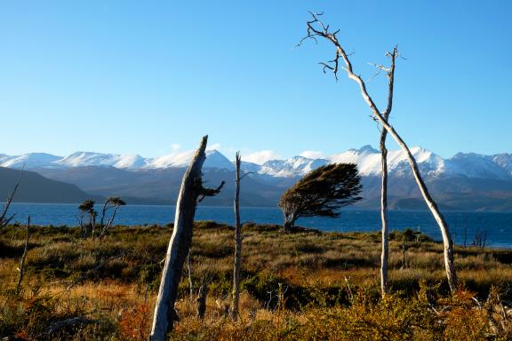 Trekking et vue sur les monts en Patagonie