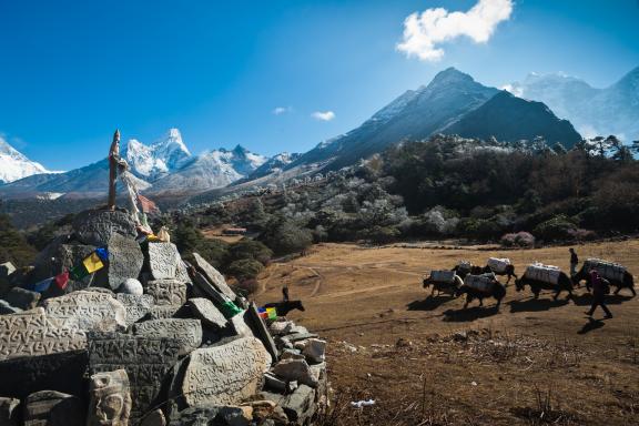 Tangboche dans la région de l’Everest au Népal