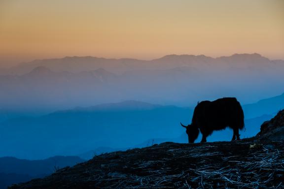 Paysage de la région des Annapurnas au Népal