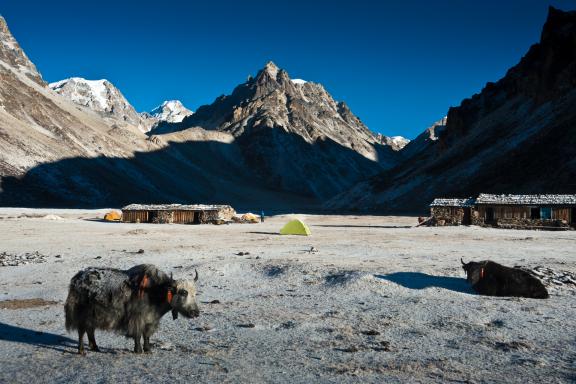 Lhonak vers le camp de base nord du Kangchenjunga au Népal