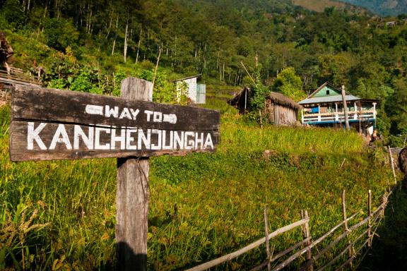 Entre  Mamangkhe et Yamphudin dans la région du Kangchenjunga au Népal