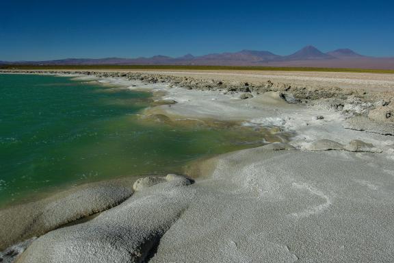Laguna Cejas dans le désert d'Atacama au Chili