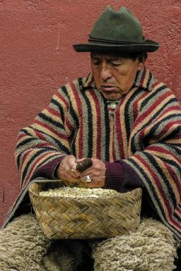 Indien de la sierra los Saskines dans les Andes en Équateur