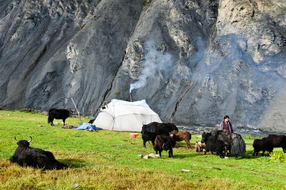 Jengla Phedi au haut Dolpo au Népal