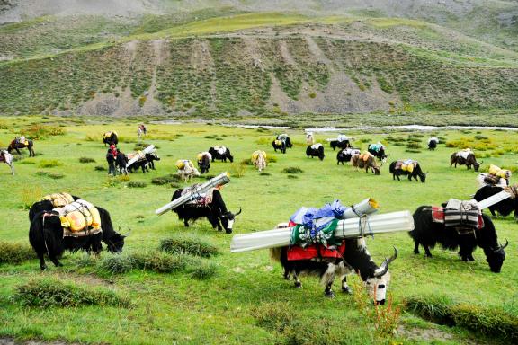 Village de Tokyu dans la vallée de la Tarap au Dolpo au Népal