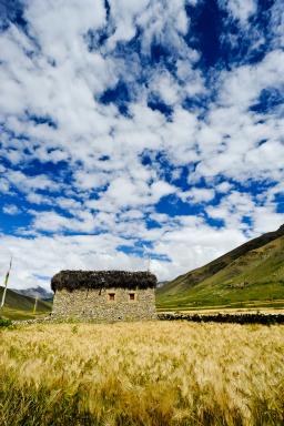 Près du monastère de Kagar dans la vallée de la Tarap au Dolpo au Népal