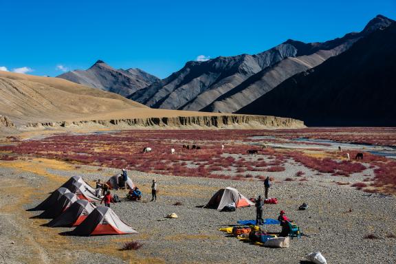 Bivouac au Rupshu Changtang au Ladakh en Inde