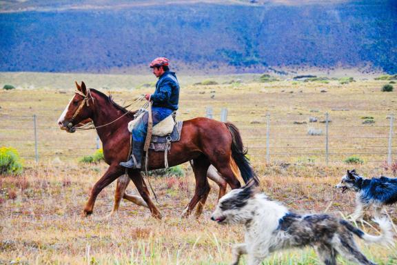 Gaucho au parc national Torres del Paine en Patagonie au Chili