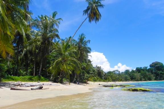 Découverte de la plage Punta Uva au Costa Rica