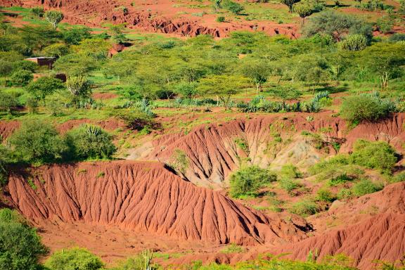 Trek et paysage en Tanzanie