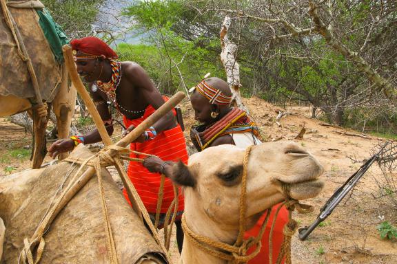 Randonnée et chargement d'un chameau par les Masaï au Kenya