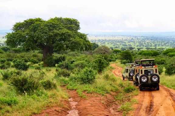 Randonnée et Safari au Kenya