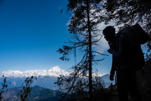 Le Dhaulagiri à 8160 m depuis Mohare Danda au Népal
