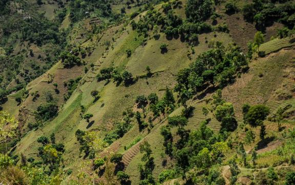 Randonnée sur les versants vertigineux des montagnes de Haïti