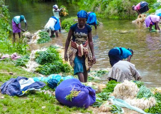 Halte au bord de la rivière dans le coeur des montagnes haïtiennes