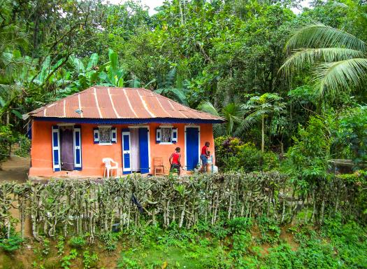 Randonnée vers une maison en brousse sur l'île d'Haïti