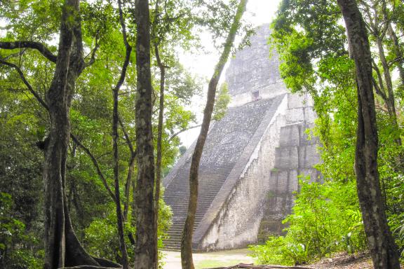 Acropolis sud de Tikal temple maya dans le Peten au Guatemala