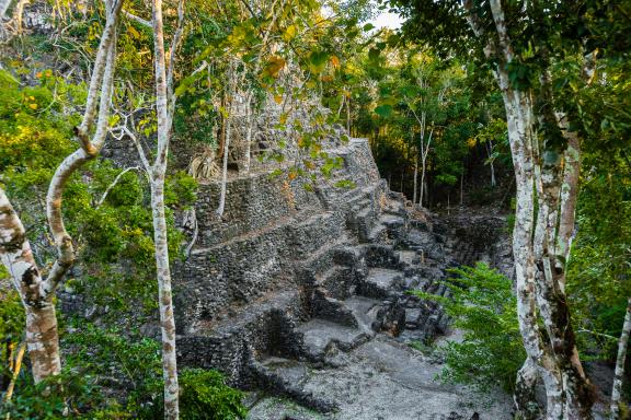 La pyramide de la Danta pendant le trek de El Mirador dans le Petén au Guatemala